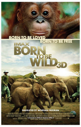 born-to-be-wild-poster.jpg