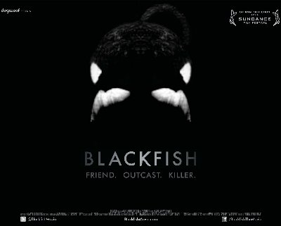 Blackfish poster image