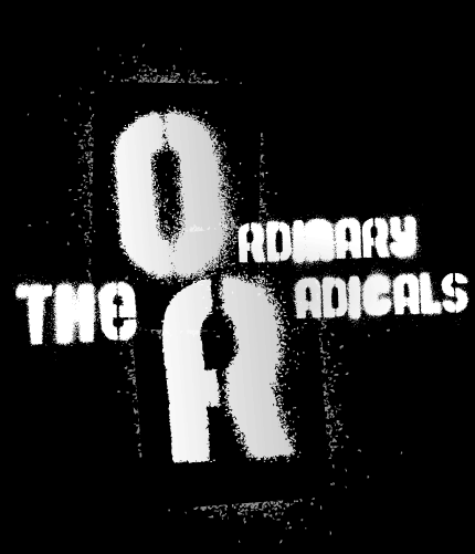 The Ordinary Radicals Poster image